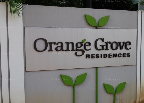 Orange Grove Residences (D10), Condominium #50422